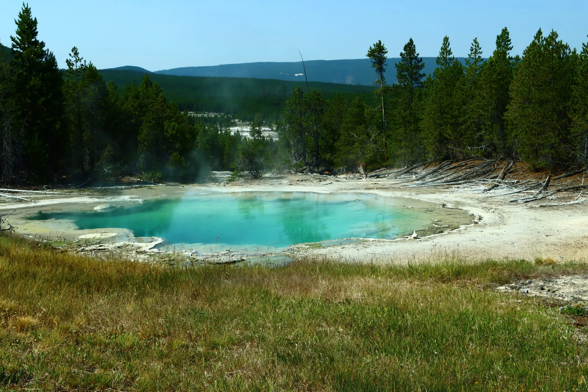 Yellowstone Sulfur Pool